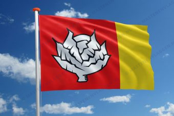 Dorpsvlag Terzool