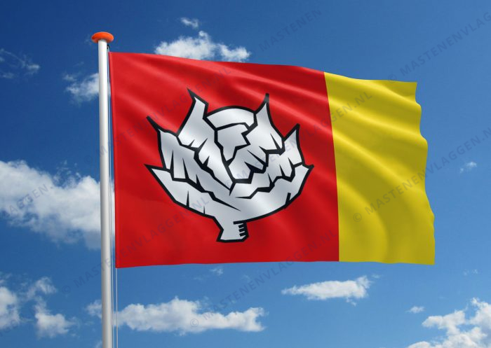 Dorpsvlag Terzool