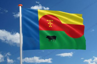 Dorpsvlag Tienhoven
