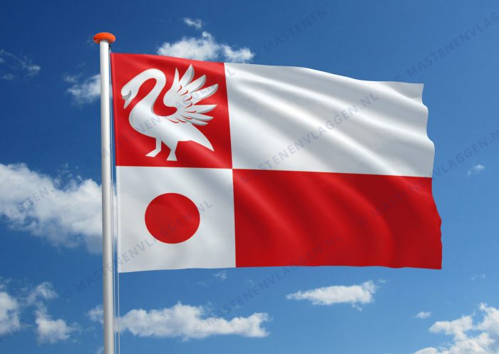 Dorpsvlag Wartena