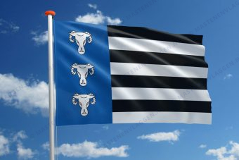 Dorpsvlag Waskemeer