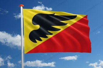 Dorpsvlag Wetsens