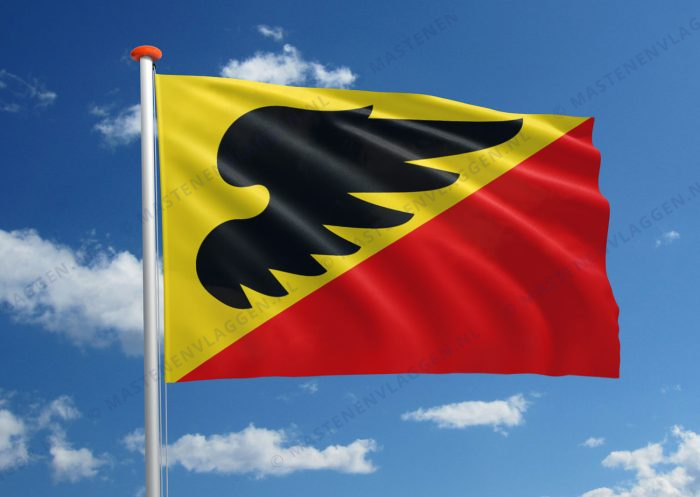Dorpsvlag Wetsens