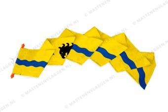 Dorpswimpel Wijtgaard