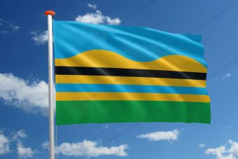 Dorpsvlag Wirdum