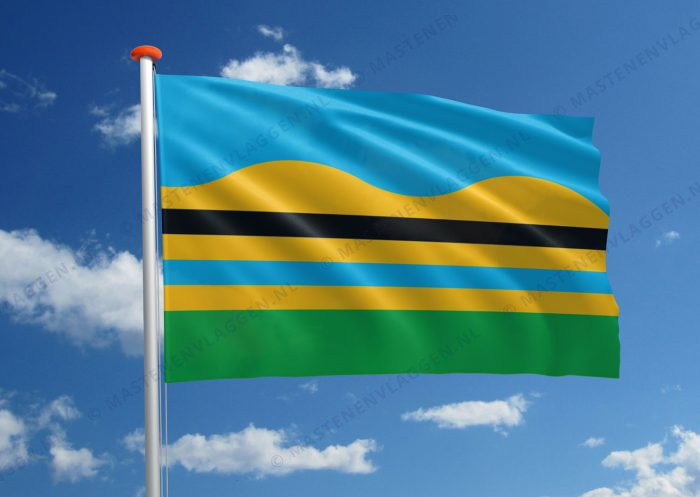 Dorpsvlag Wirdum