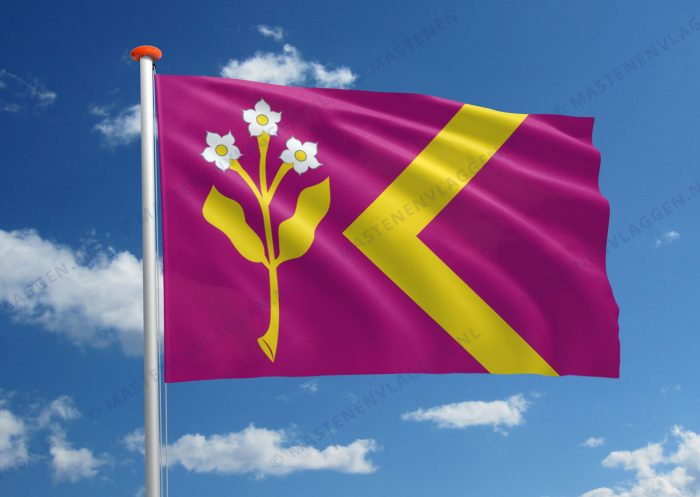 Dorpsvlag Zorgvlied