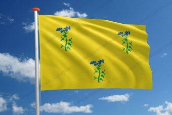Dorpsvlag Zuiddorpe