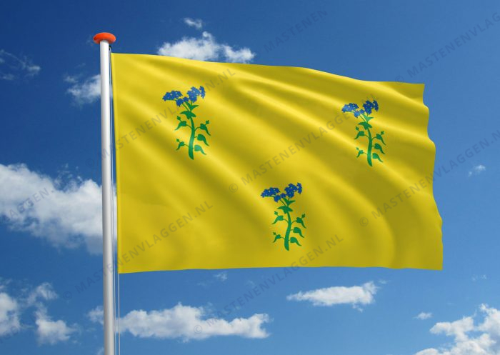 Dorpsvlag Zuiddorpe
