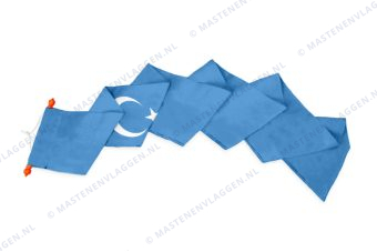 Wimpel Oost-Turkestan