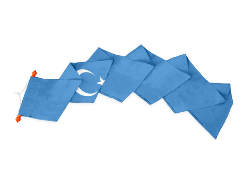 Wimpel Oost-Turkestan