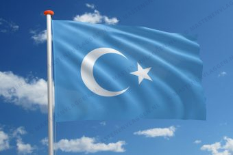 Oost-Turkestanse vlag