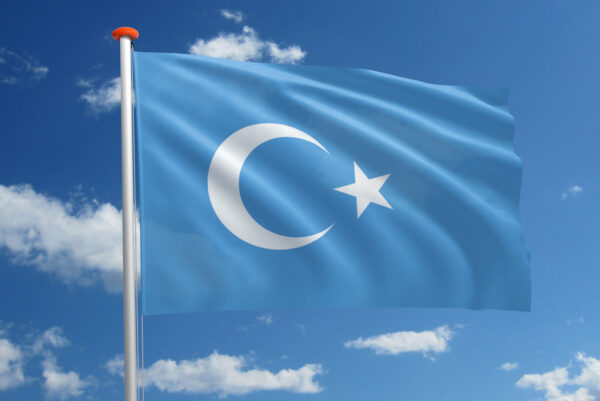 Oost-Turkestanse vlag