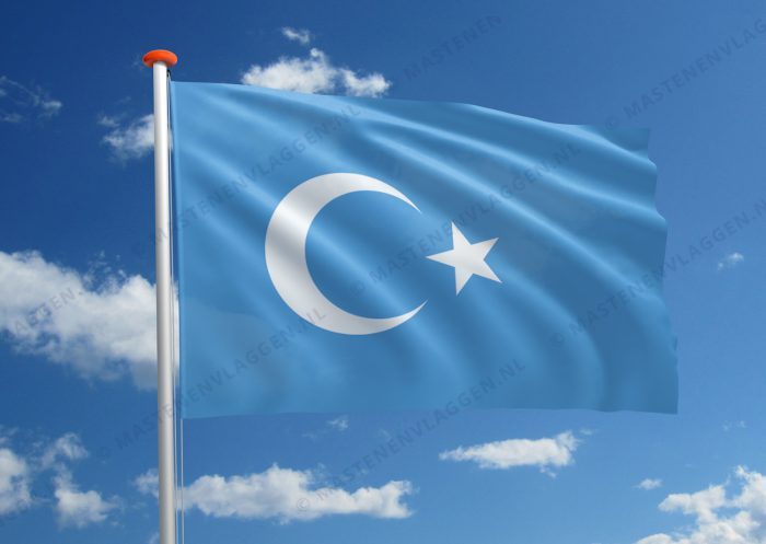 Oost-Turkestanse vlag