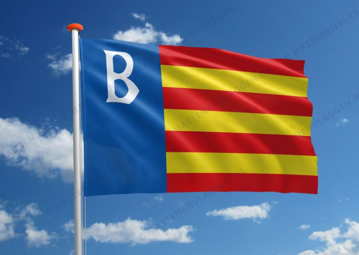Dorpsvlag Brongerga