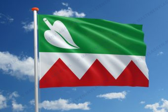 Dorpsvlag De Tike