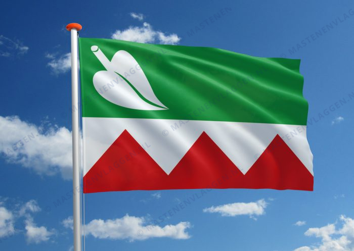 Dorpsvlag De Tike