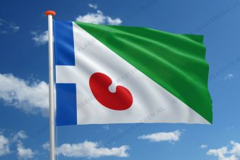 Dorpsvlag Dedgum
