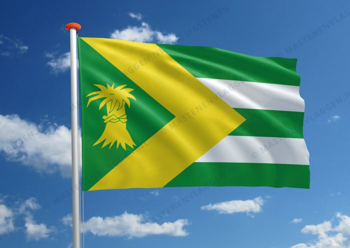 Dorpsvlag Rien
