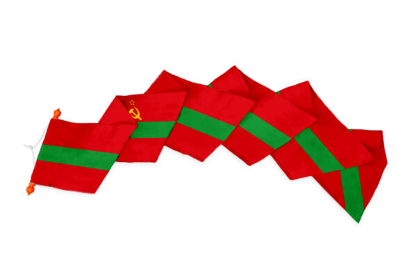 Transnistrische wimpel