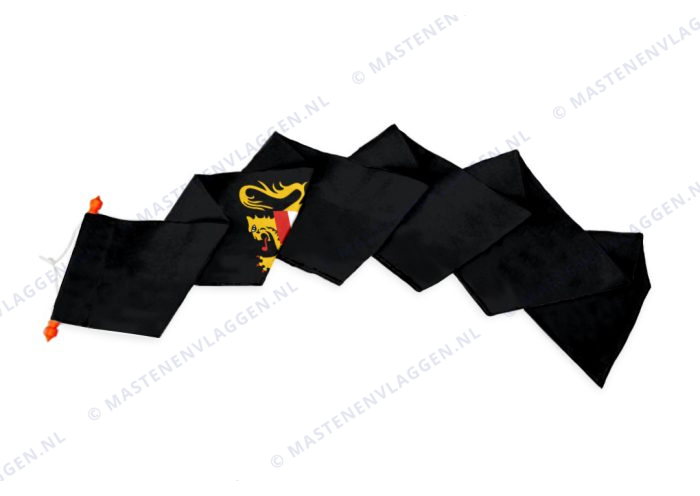 Provincie Vlaams-Brabant wimpel