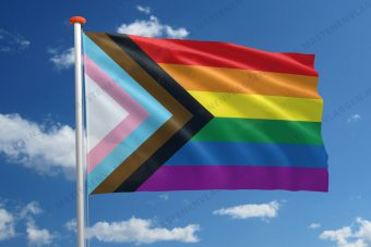 Progressvlag