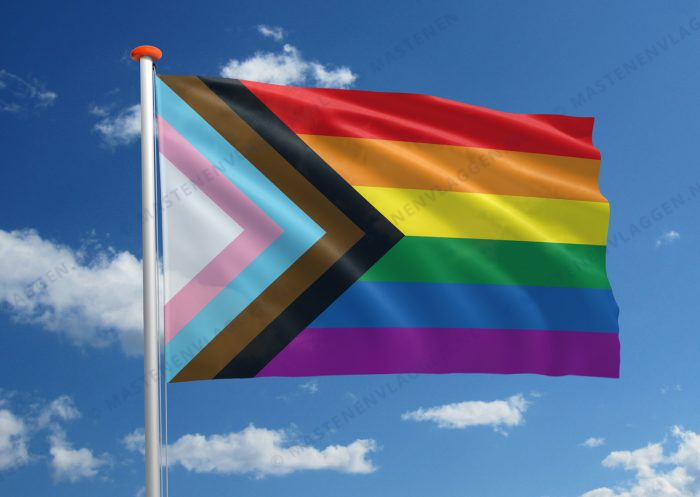 Progressvlag