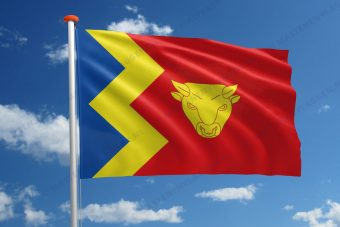Vlag Birmingham