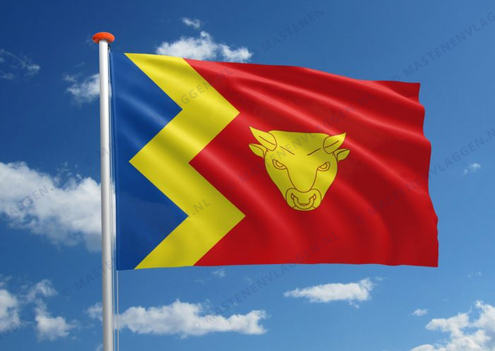 Vlag Birmingham