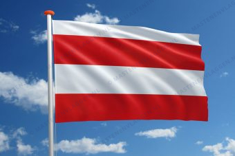 Vlag Brno