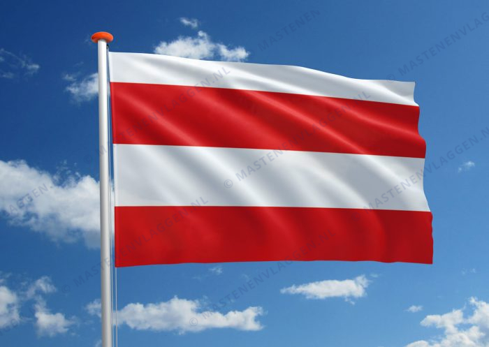 Vlag Brno