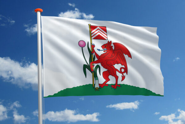 Vlag Cardiff