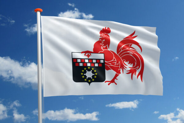 Vlag Charleroi