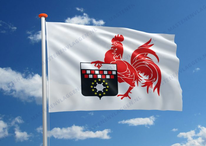Vlag Charleroi