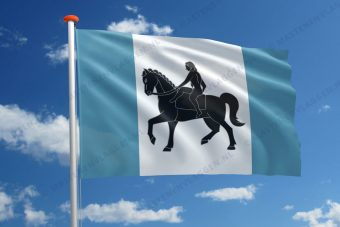 Vlag Coventry