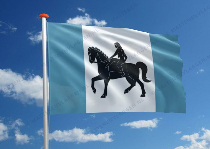 Vlag Coventry