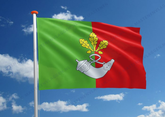 Vlag Kryvy Rih
