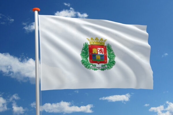 Vlag Las Palmas