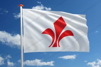 Vlag Lille