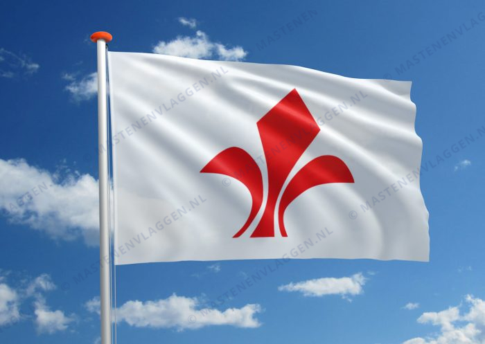Vlag Lille