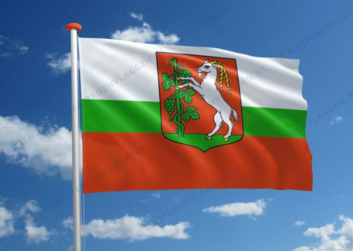 Vlag Lublin