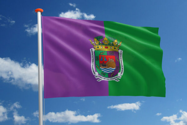Vlag Málaga