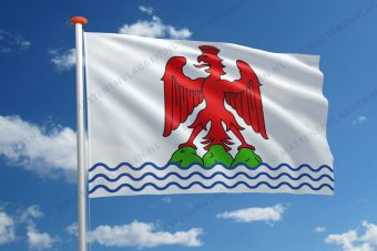 Vlag Nice