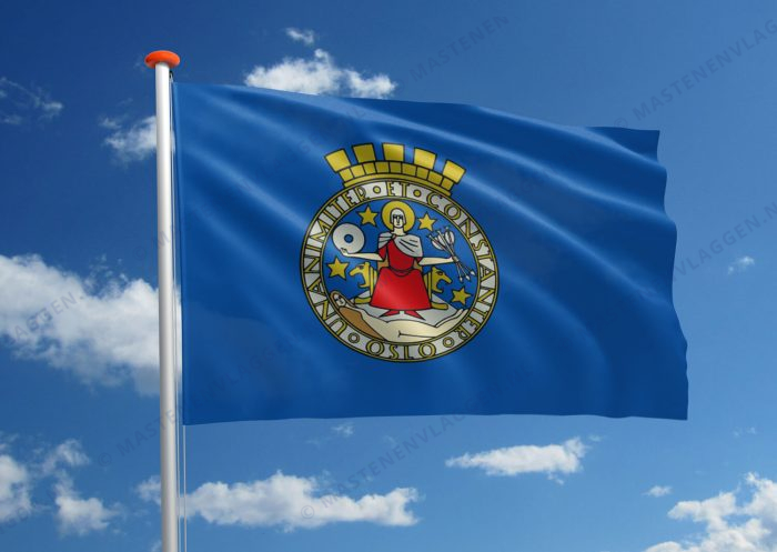 Vlag Oslo