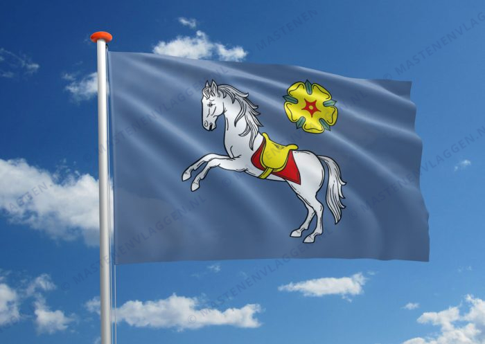 Vlag Ostrava