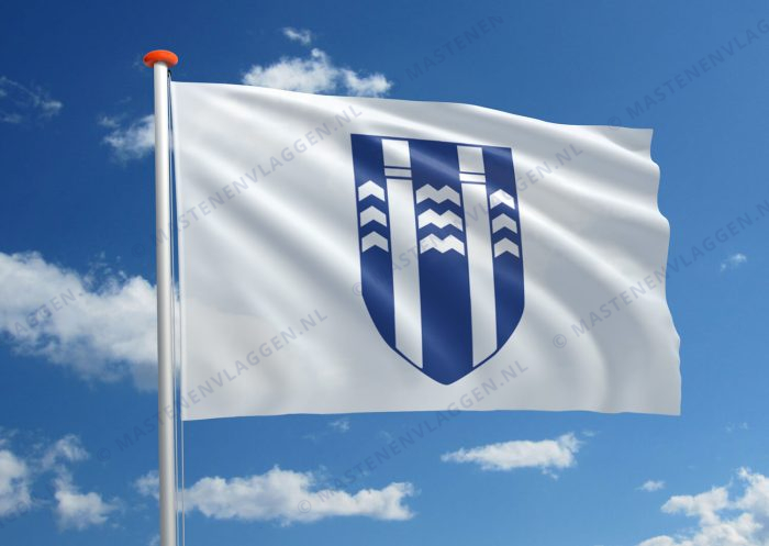 Vlag Reykjavik