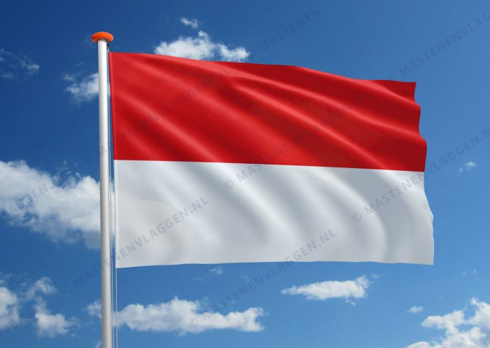 Vlag Salzburg