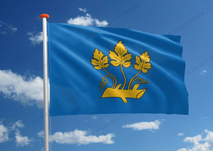 Vlag Stavanger