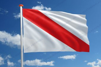 Vlag Straatsburg