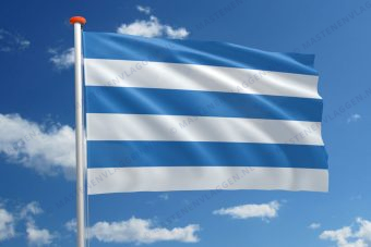 Vlag Tallinn